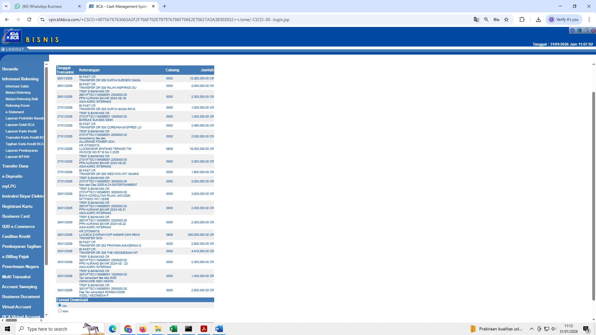 Screenshot 1ae45038-04ad-5dc8-1203-50616aa5dade_2026-01-31_11-13-31_1.jpg