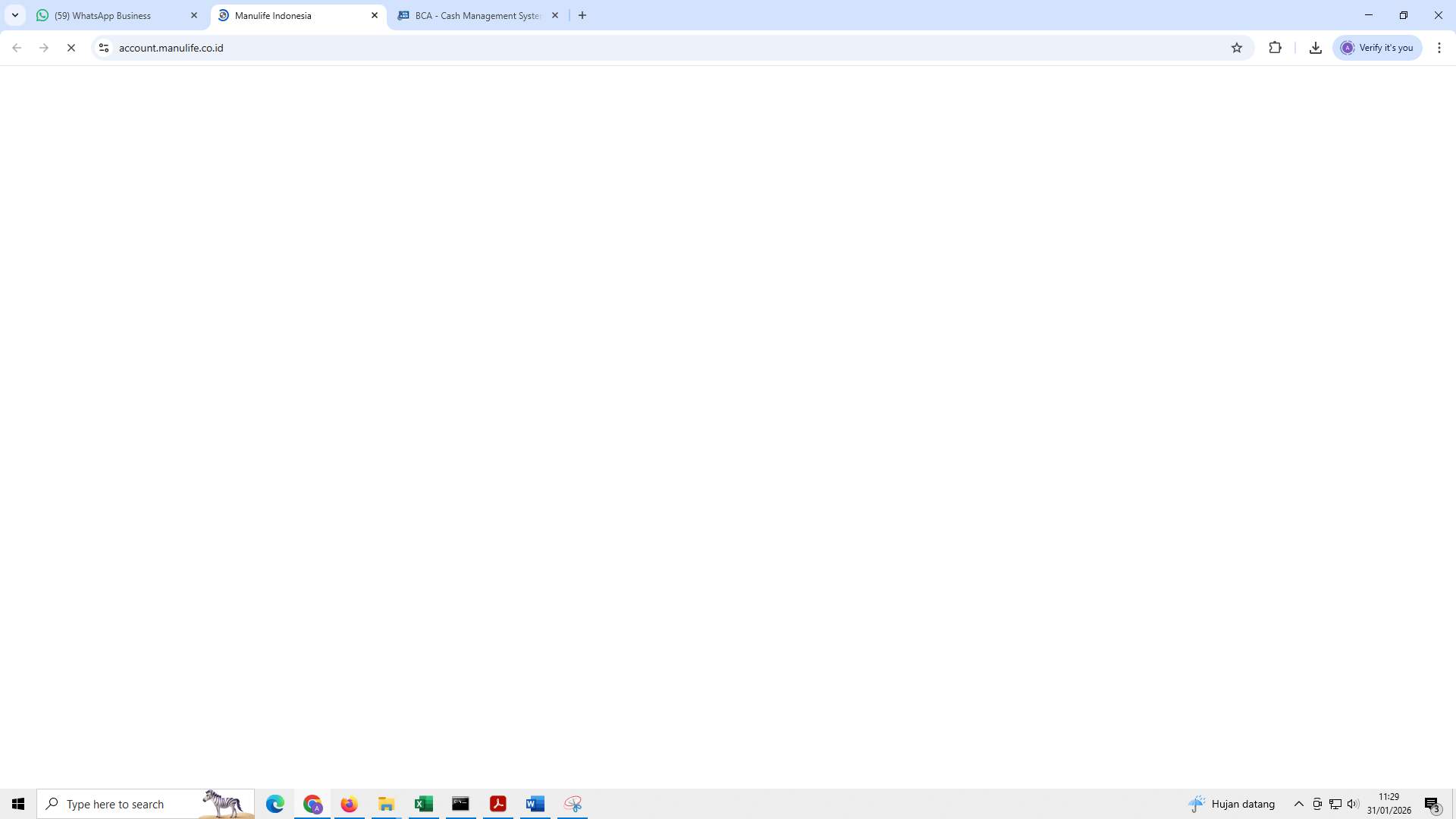 Screenshot 1ae45038-04ad-5dc8-1203-50616aa5dade_2026-01-31_11-29-20_1.jpg