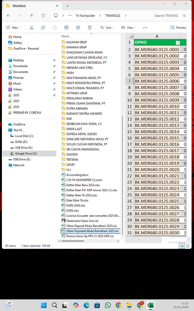 Screenshot 60503775-8f74-7743-dbab-1fc3679e839d_2026-01-31_11-12-30_1.jpg