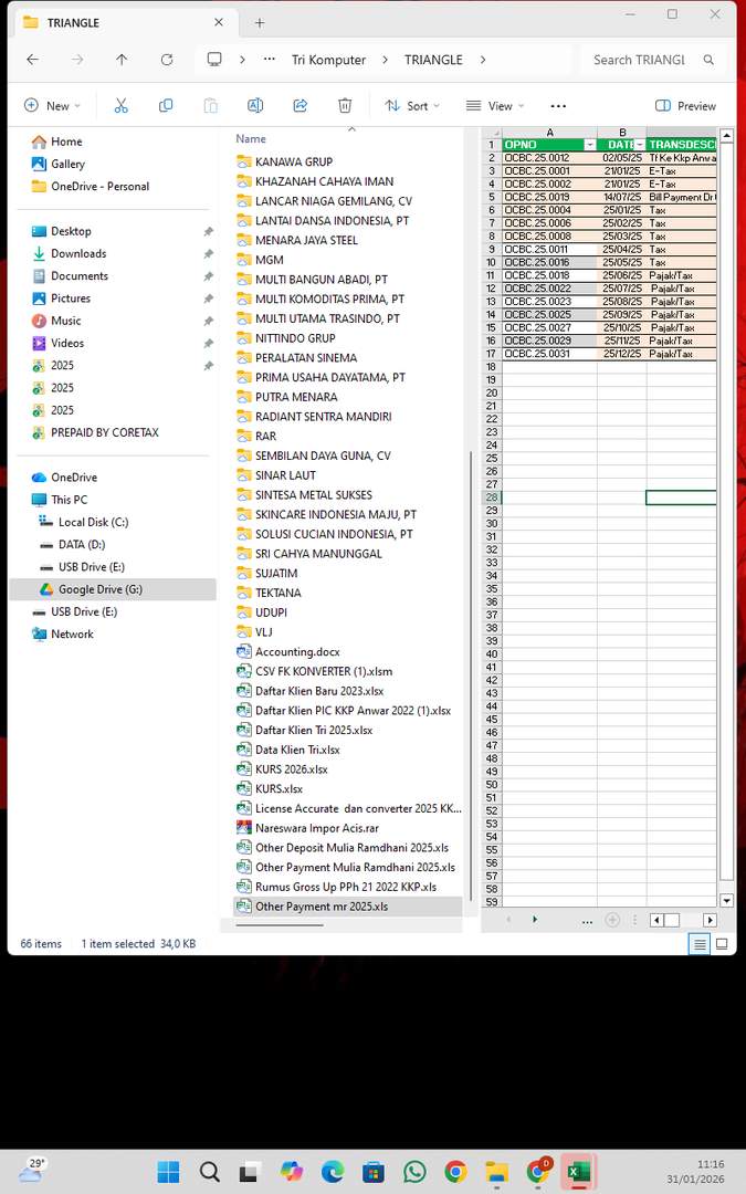 Screenshot 60503775-8f74-7743-dbab-1fc3679e839d_2026-01-31_11-16-36_1.jpg