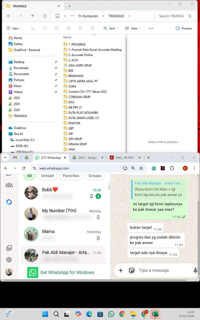 Screenshot 60503775-8f74-7743-dbab-1fc3679e839d_2026-01-31_11-35-39_1.jpg