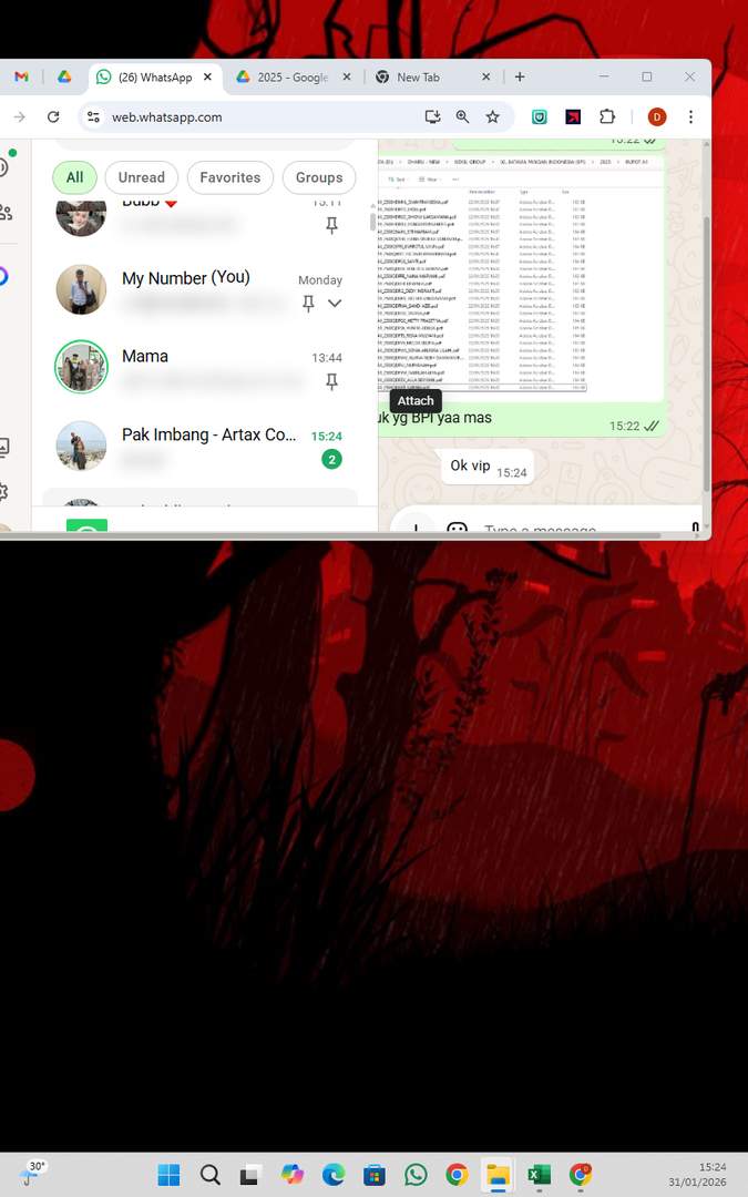 Screenshot 60503775-8f74-7743-dbab-1fc3679e839d_2026-01-31_15-24-45_1.jpg