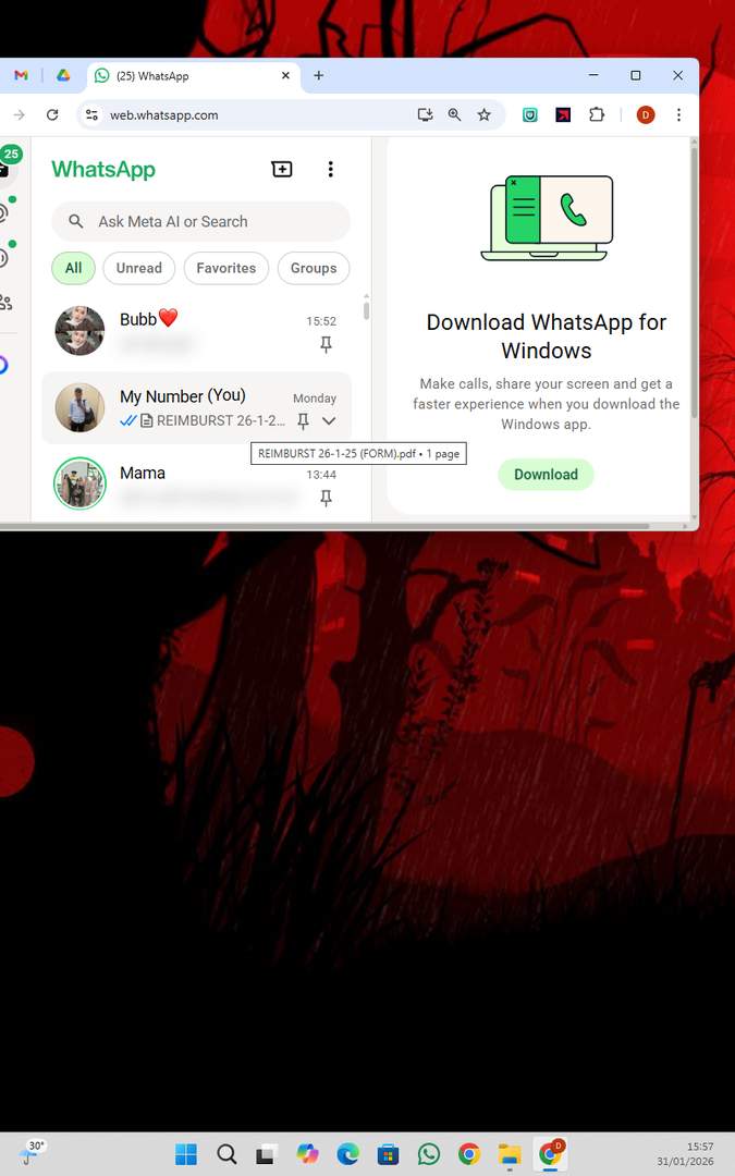 Screenshot 60503775-8f74-7743-dbab-1fc3679e839d_2026-01-31_15-57-18_1.jpg