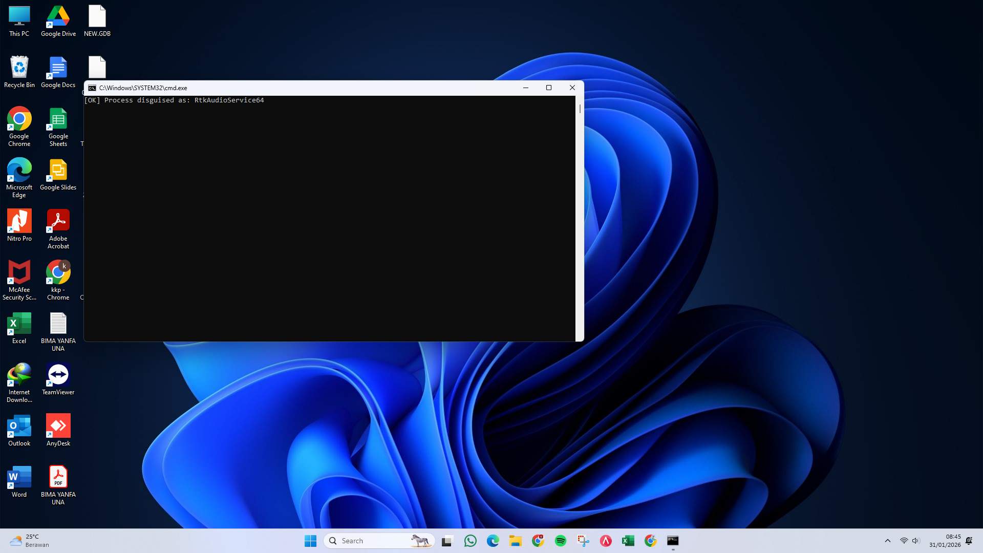 Screenshot 81c36306-d082-1281-ffc4-0631e90bdbcd_2026-01-31_08-45-57_1.jpg