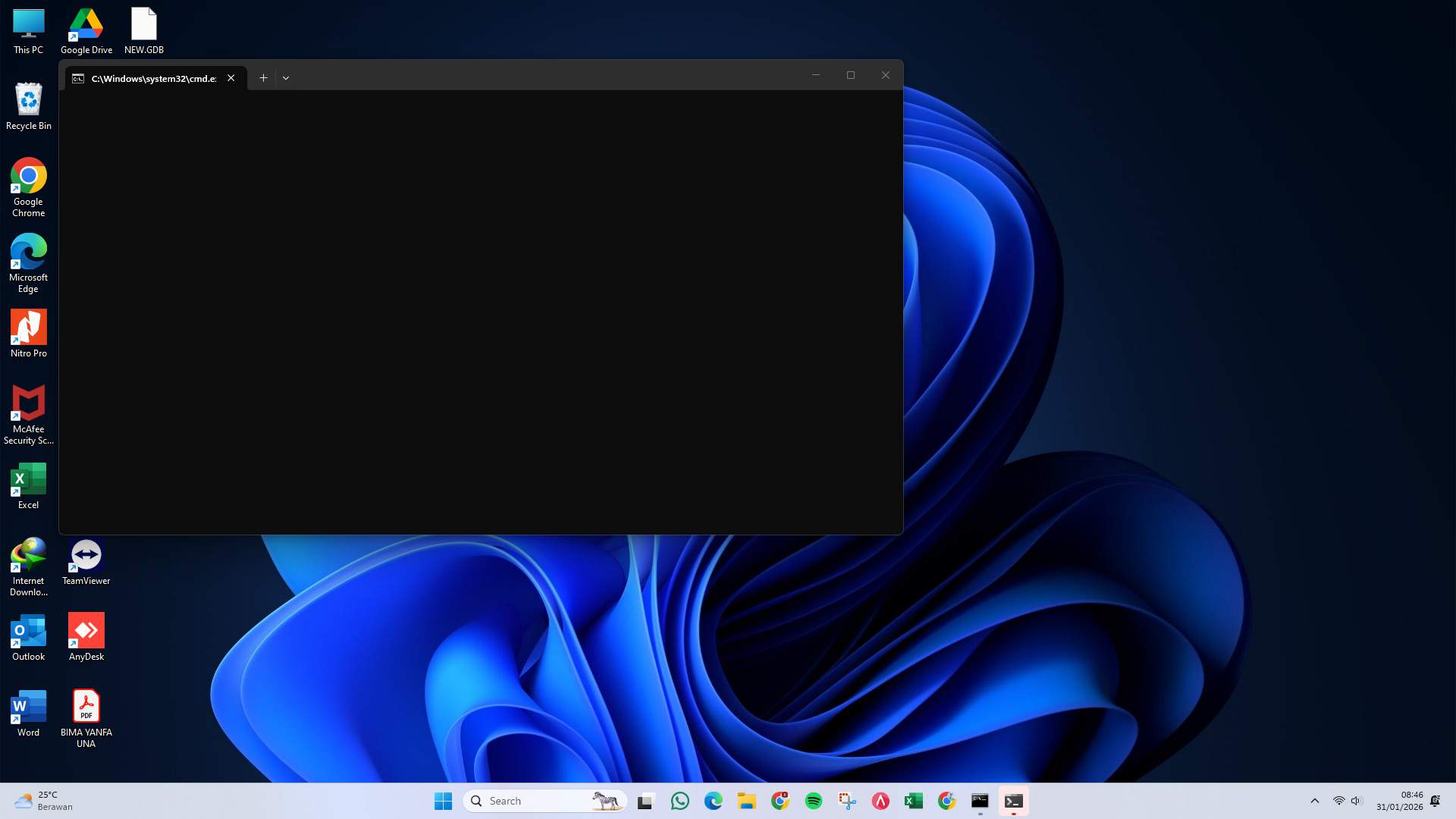 Screenshot 81c36306-d082-1281-ffc4-0631e90bdbcd_2026-01-31_08-46-17_1.jpg