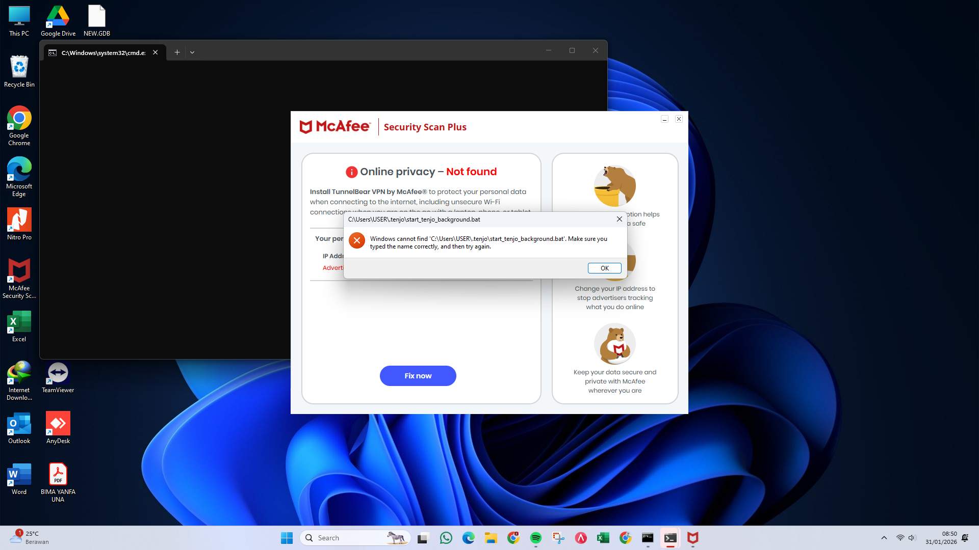 Screenshot 81c36306-d082-1281-ffc4-0631e90bdbcd_2026-01-31_08-50-59_1.jpg