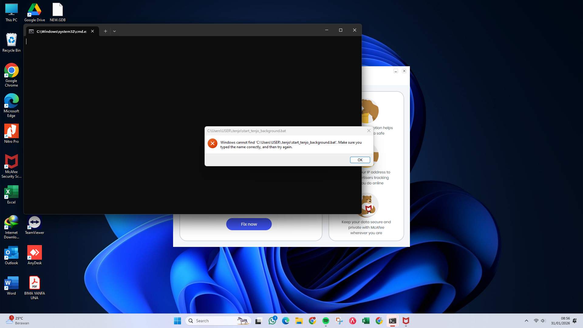 Screenshot 81c36306-d082-1281-ffc4-0631e90bdbcd_2026-01-31_08-56-22_1.jpg