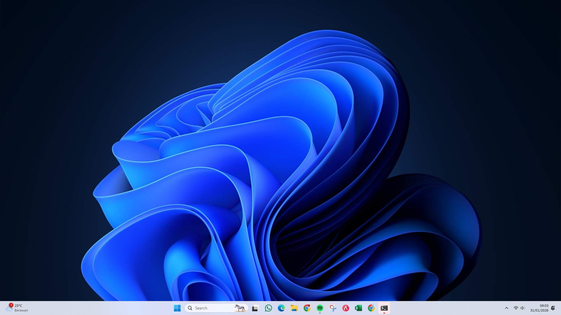 Screenshot 81c36306-d082-1281-ffc4-0631e90bdbcd_2026-01-31_09-03-39_1.jpg