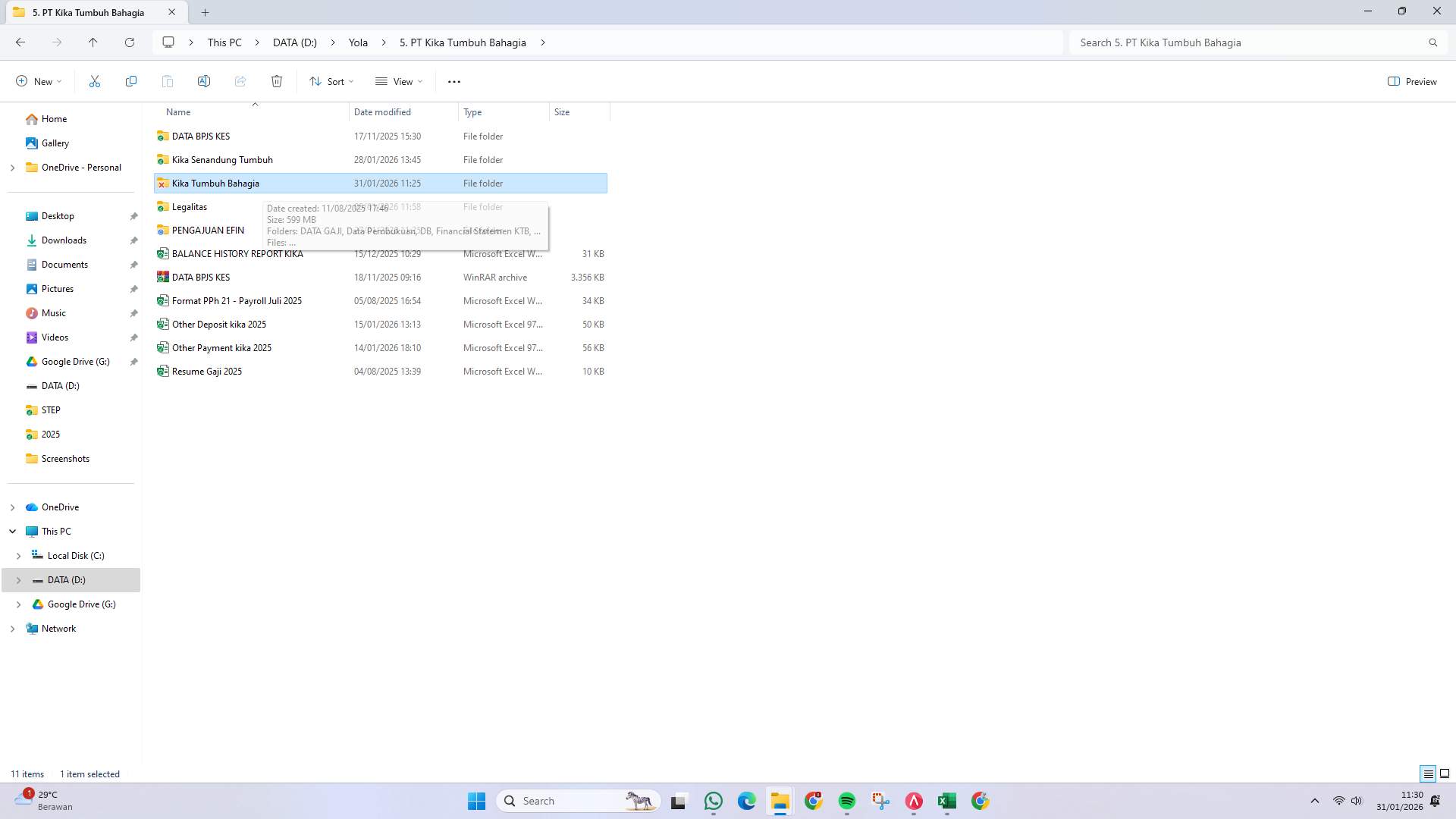 Screenshot 81c36306-d082-1281-ffc4-0631e90bdbcd_2026-01-31_11-30-15_1.jpg