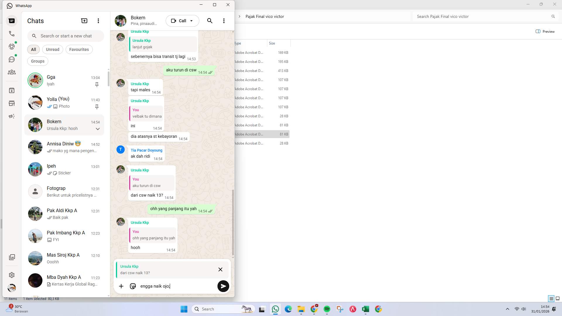 Screenshot 81c36306-d082-1281-ffc4-0631e90bdbcd_2026-01-31_14-54-39_1.jpg