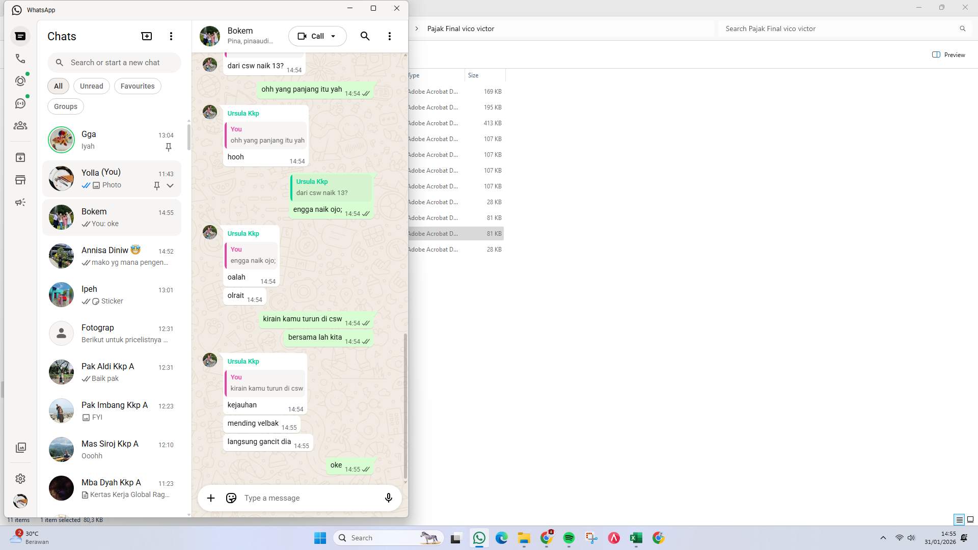 Screenshot 81c36306-d082-1281-ffc4-0631e90bdbcd_2026-01-31_14-55-12_1.jpg
