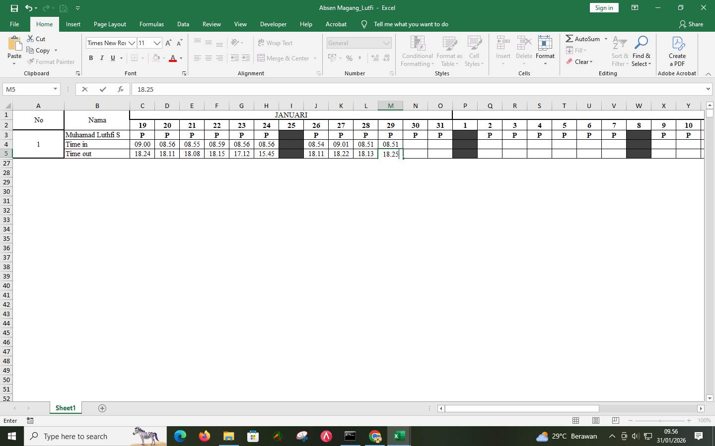 Screenshot a37f8cae-b1c6-2e5b-32e9-b176f66bb1a8_2026-01-31_09-56-34_1.jpg