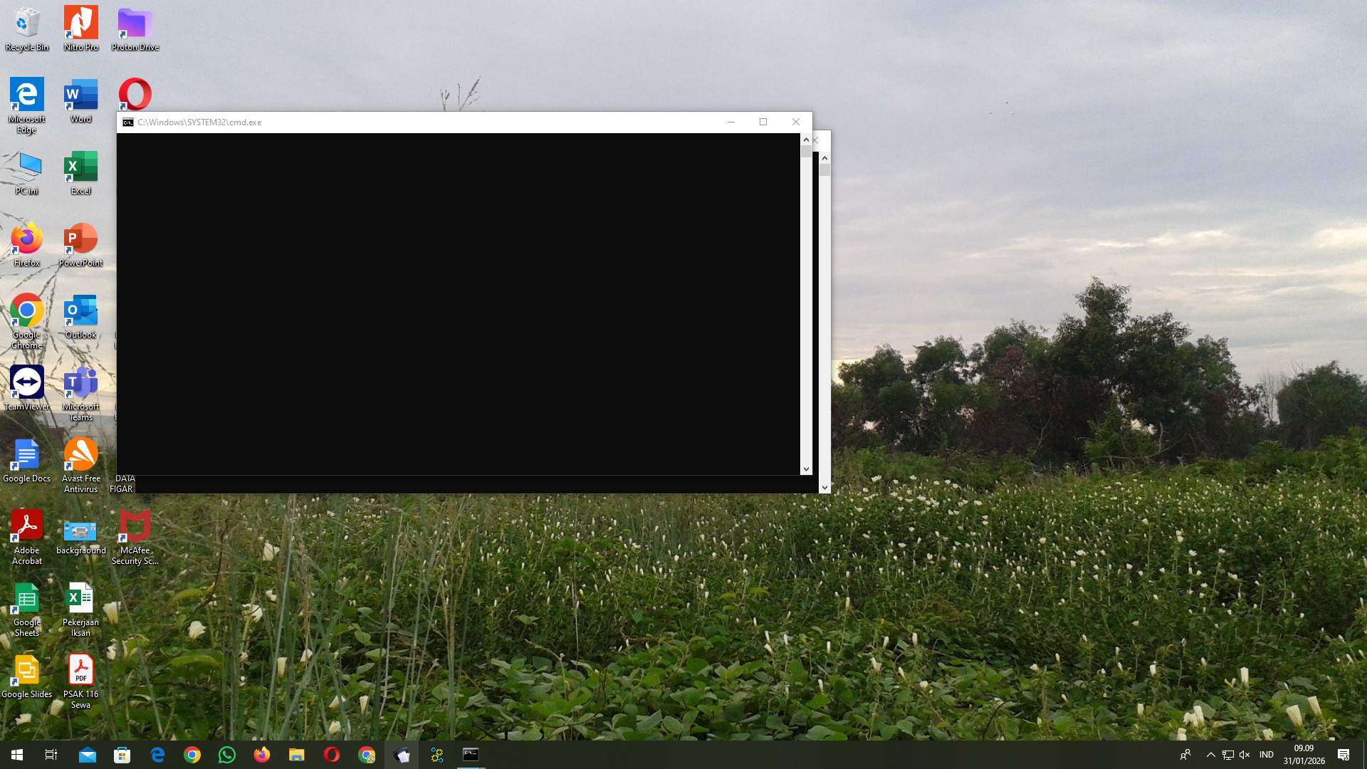 Screenshot b212fe7f-fa56-cc5f-262d-ad4bc156c167_2026-01-31_09-10-02_1.jpg