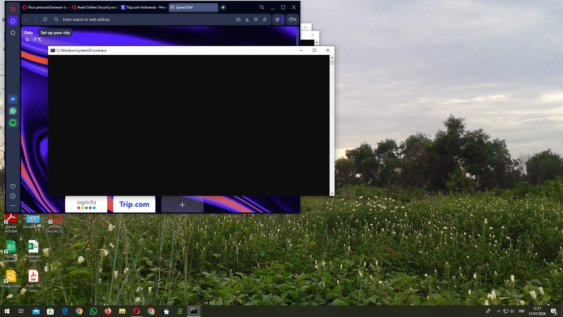 Screenshot b212fe7f-fa56-cc5f-262d-ad4bc156c167_2026-01-31_12-57-20_1.jpg