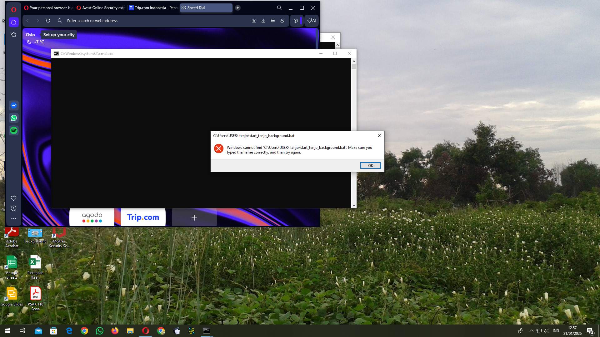 Screenshot b212fe7f-fa56-cc5f-262d-ad4bc156c167_2026-01-31_12-57-51_1.jpg