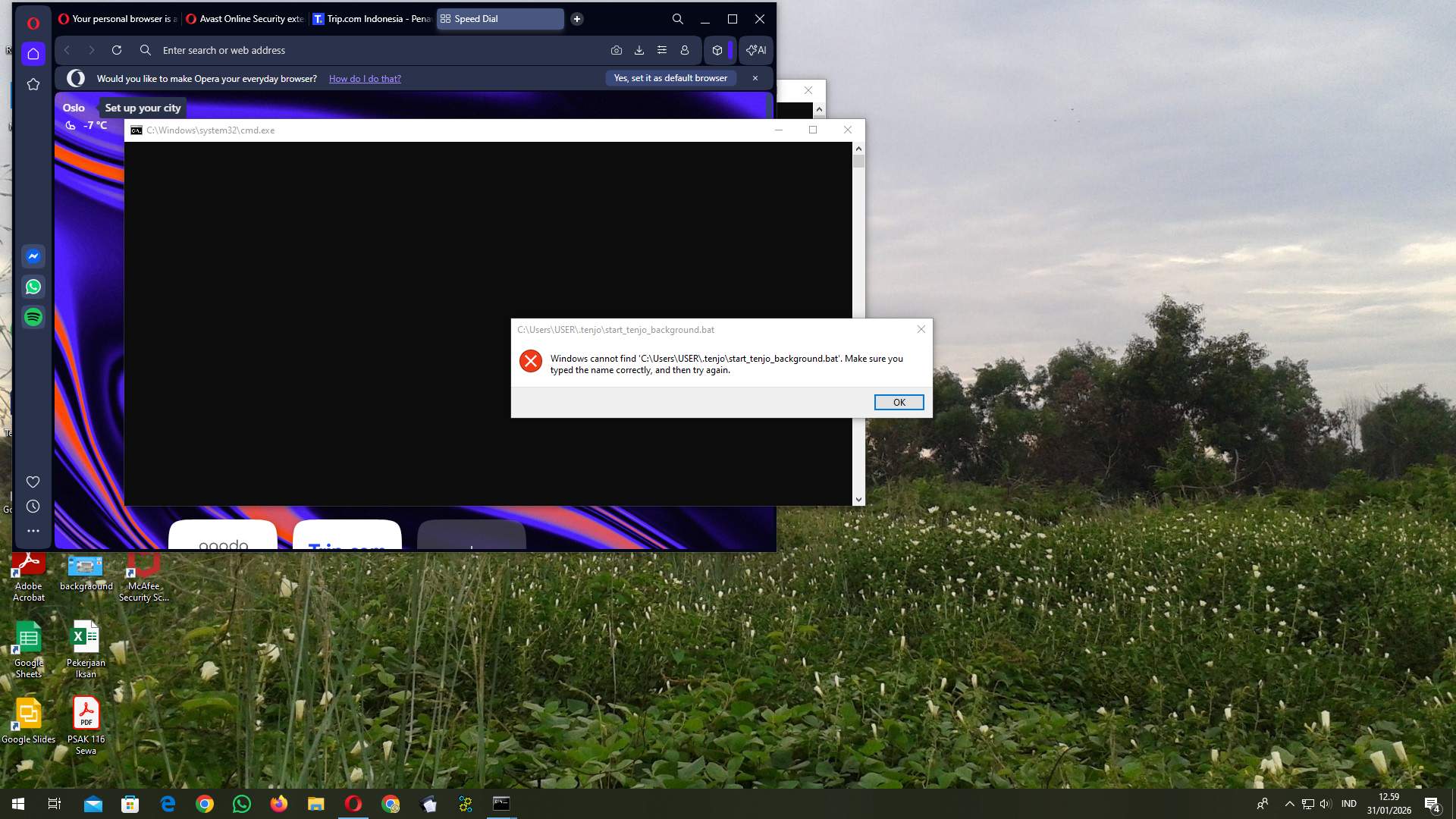 Screenshot b212fe7f-fa56-cc5f-262d-ad4bc156c167_2026-01-31_12-59-20_1.jpg