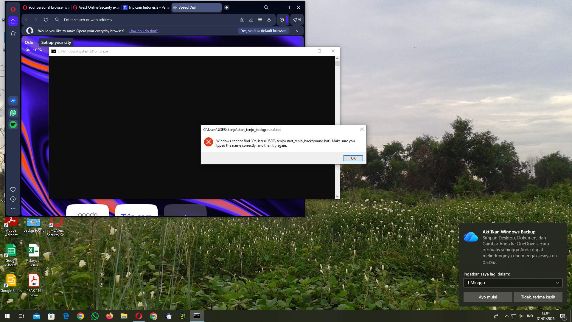 Screenshot b212fe7f-fa56-cc5f-262d-ad4bc156c167_2026-01-31_13-04-19_1.jpg