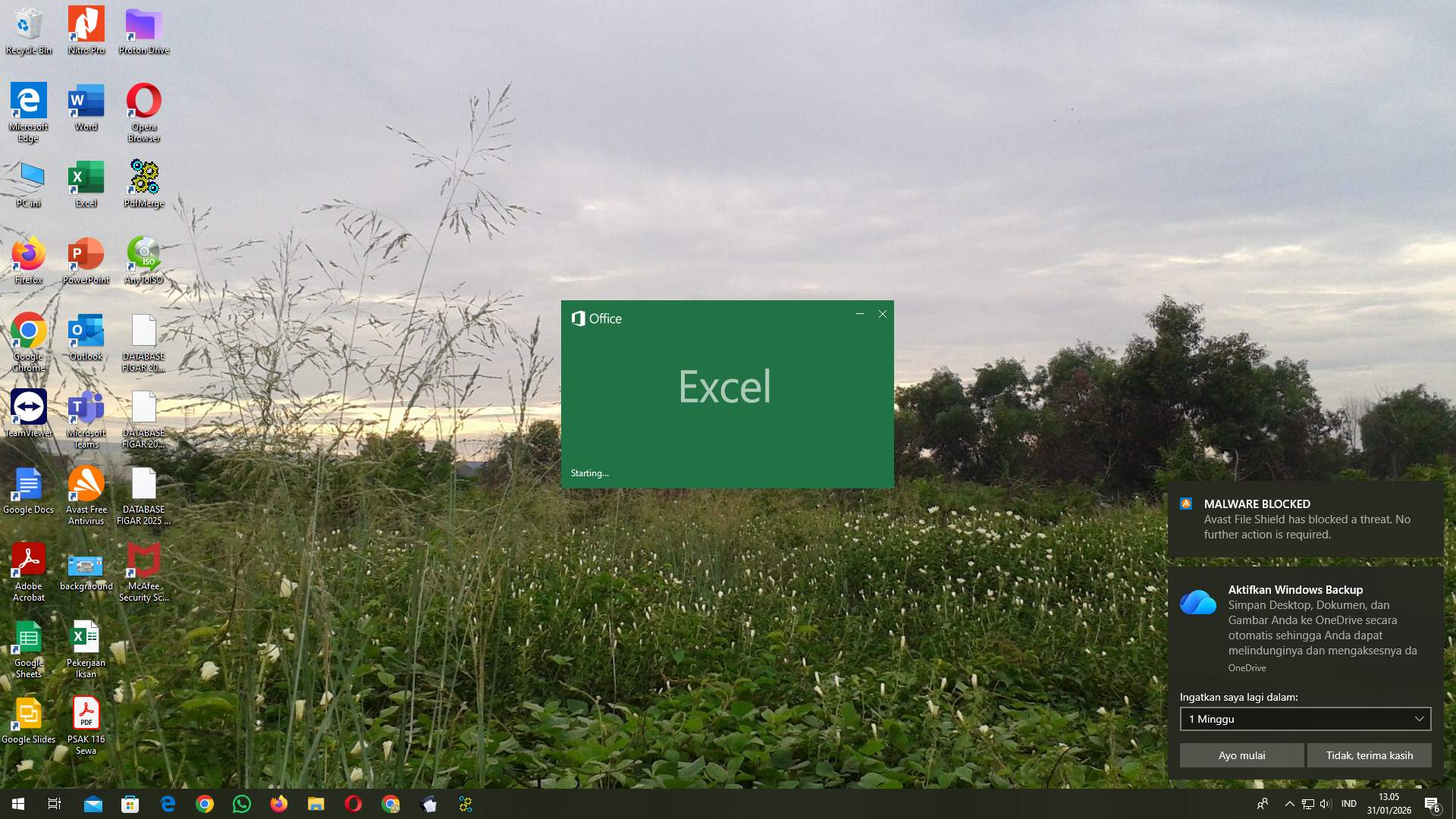 Screenshot b212fe7f-fa56-cc5f-262d-ad4bc156c167_2026-01-31_13-05-21_1.jpg