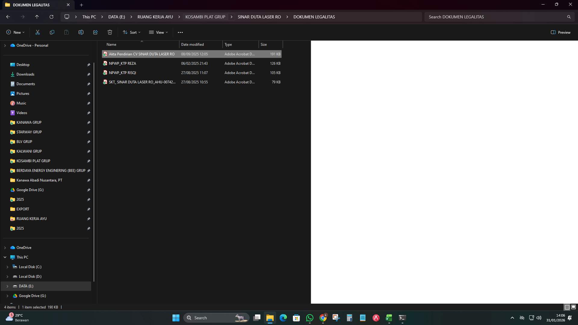 Screenshot d5c17c7e-573c-5198-b2e1-a5208a5423d3_2026-01-31_14-06-31_1.jpg